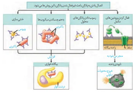 روش مطالعه اشکال زیست کنکور