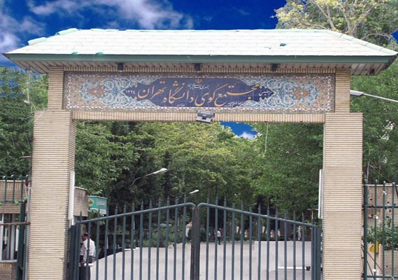 کوی دانشگاه تهران